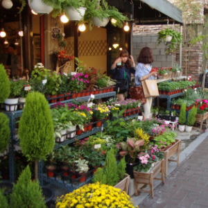 花店